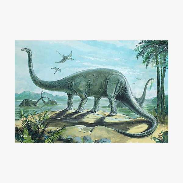 Item preview, Diplodocus designed and sold by David Roland.