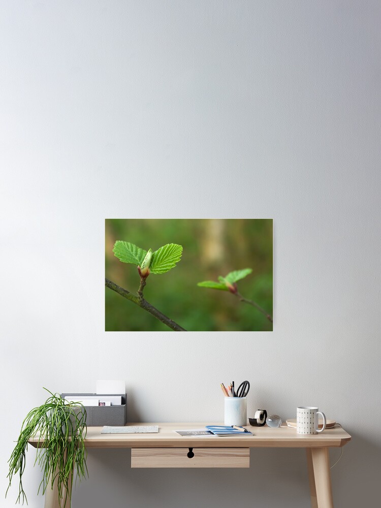 Thumbnail 2 of 3, Poster, Spring comes gently designed and sold by steppeland.