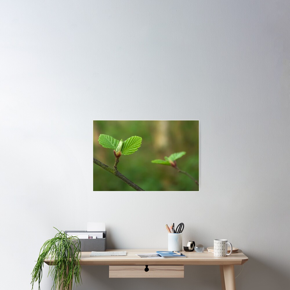 Item preview, Poster designed and sold by steppeland.