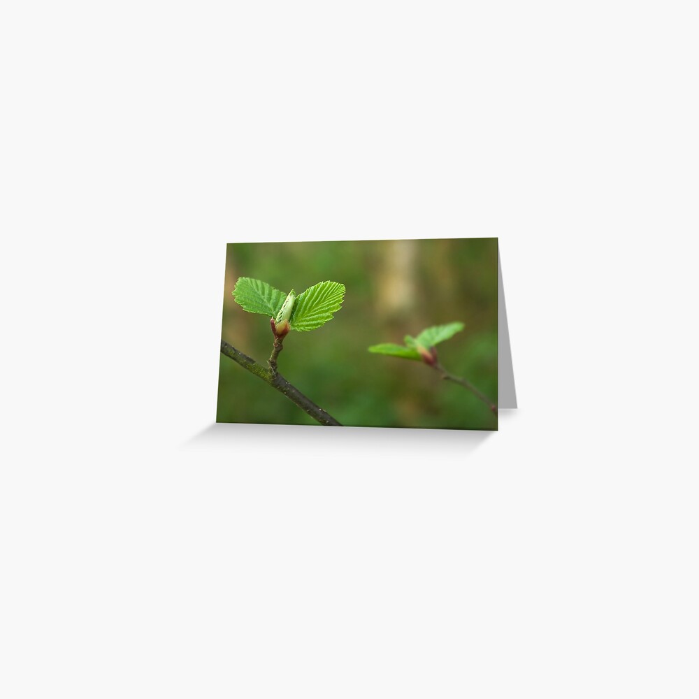 Item preview, Greeting Card designed and sold by steppeland.