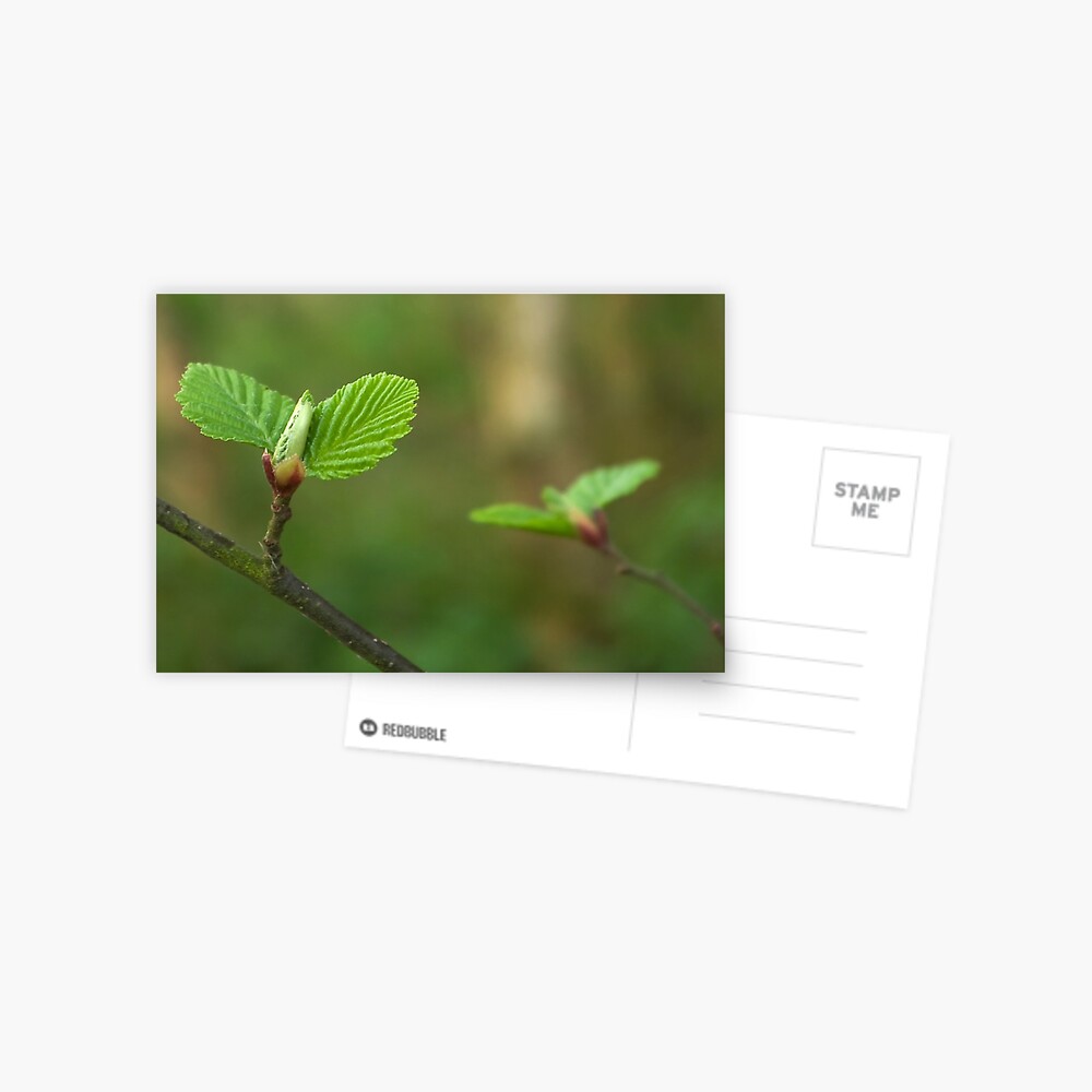 Item preview, Postcard designed and sold by steppeland.