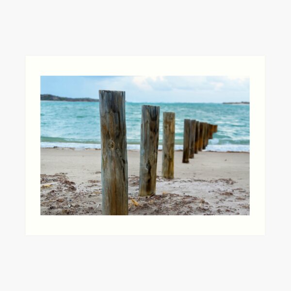 Kalbarri Beach Poles - Western Australia Art Print