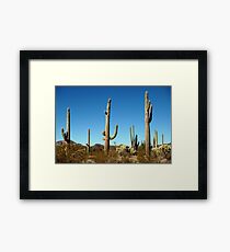 Mighty Saguaro Framed Print