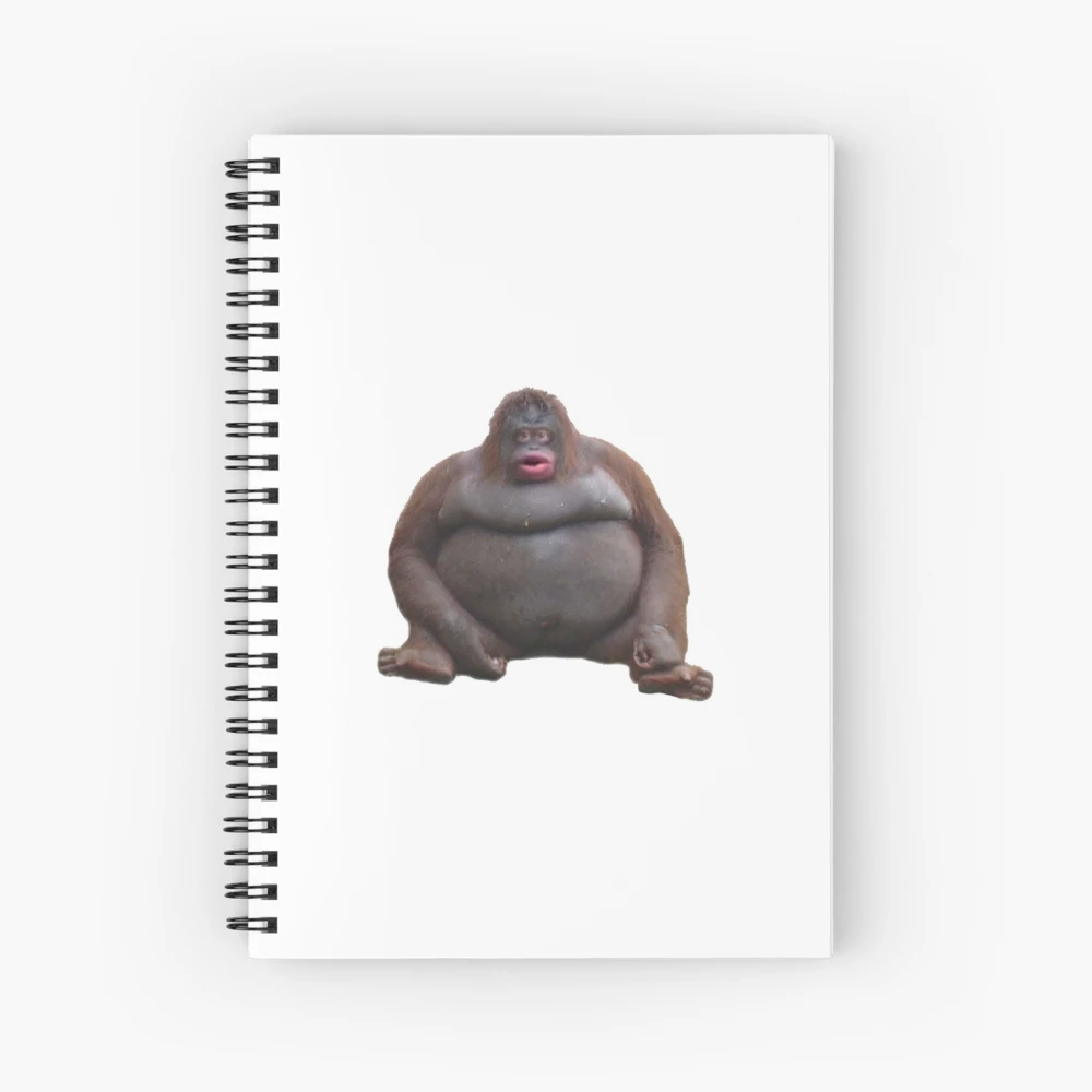 No Pouting Sock Monkey Face Notebook: A No Pouting Meme Sock Monkey Face  Fun Notebook To Write In