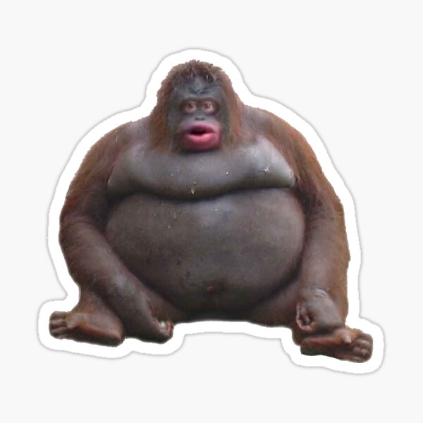 Meme Monkey Sticker