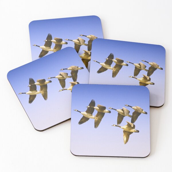Item preview, 5 Geese Formation designed and sold by Yannik Hay.