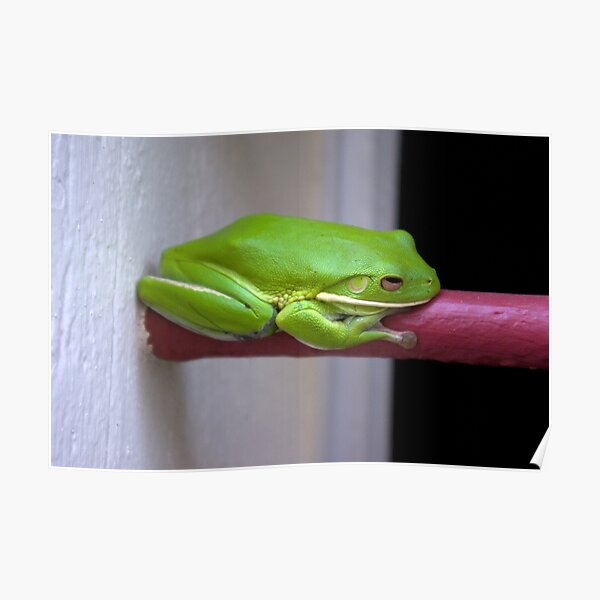 It's Not Easy Being Green Poster