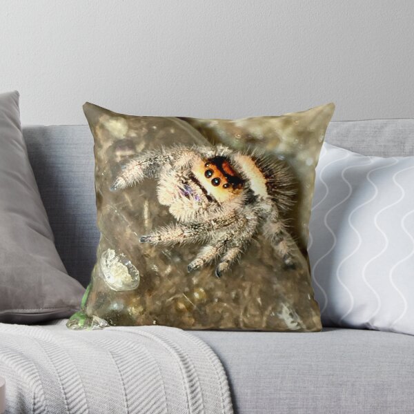 Jumping spiders Throw Pillow