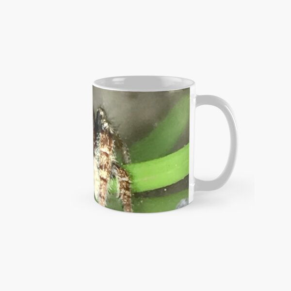 Phidippus whitmani Jumping Spider Classic Mug