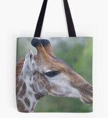 Young Male Giraffe Tote Bag