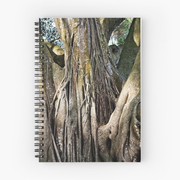 Item preview, Shadows and Light in the Banyan Trees designed and sold by John  Kapusta.
