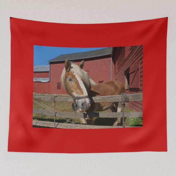 Item preview, "I'm Mister Ed" designed and sold by Lanis Rossi.