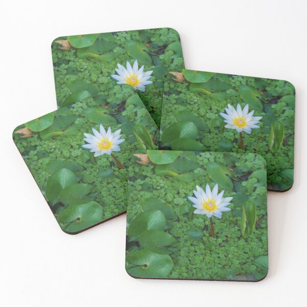 Item preview, Nymphaea Nouchali Lily Pad Flower in Spring designed and sold by Chee Sim.