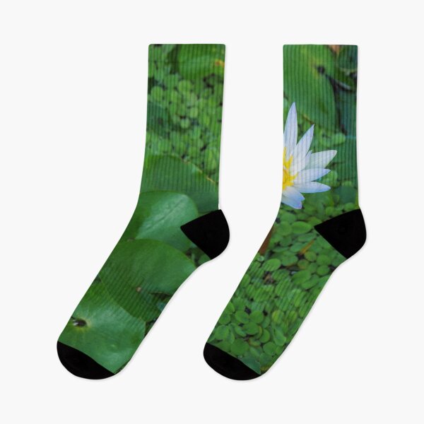 Item preview, Nymphaea Nouchali Lily Pad Flower in Spring designed and sold by Chee Sim.