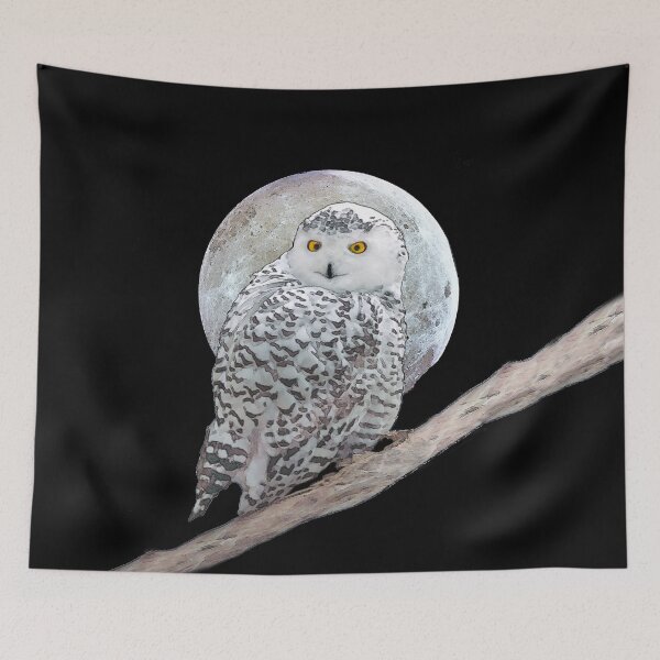 Item preview, Snowy Owl and Moon designed and sold by alpendesigns.