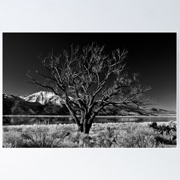 Item preview, Washoe Lake Reno Nevada designed and sold by Jeffrey  Sinnock.