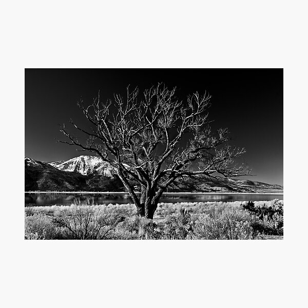 Item preview, Washoe Lake Reno Nevada designed and sold by Jeffrey  Sinnock.