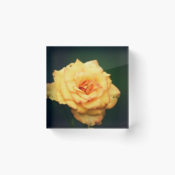 Item preview, Fresh Bloom designed and sold by Melanie Uadjit.