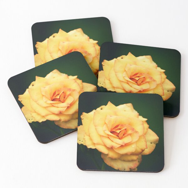 Item preview, Fresh Bloom designed and sold by Melanie Uadjit.