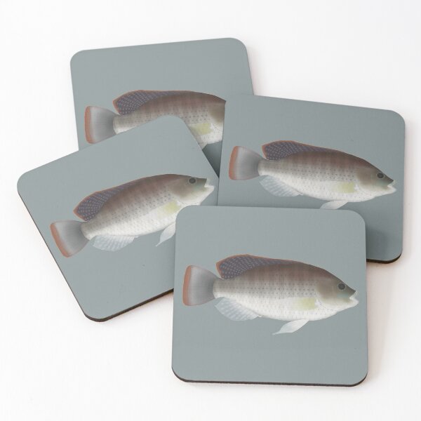 Item preview, Blue Tilapia designed and sold by fishfolkart.