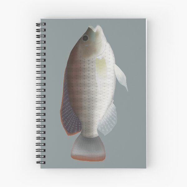 Item preview, Blue Tilapia designed and sold by fishfolkart.