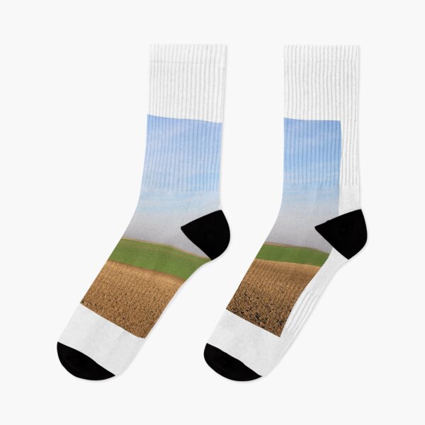 Item preview, plowed field and young green wheat sunny autumn day agriculture designed and sold by goceris.