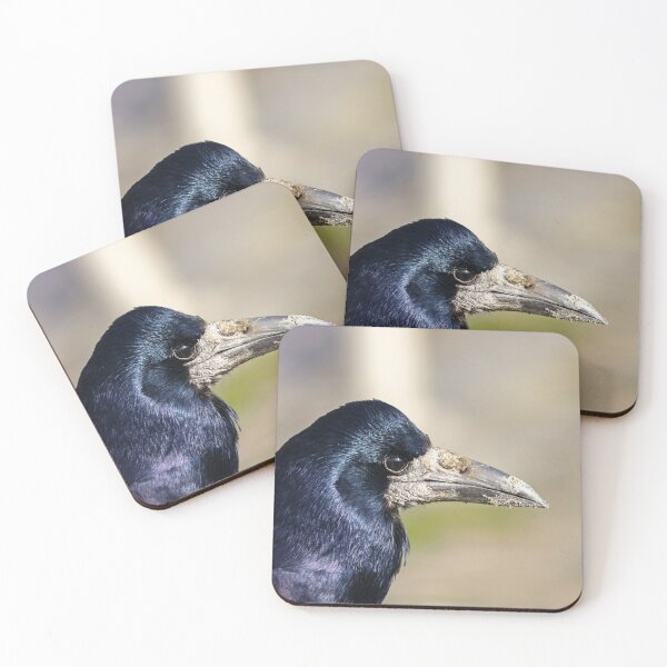 Item preview, Rook portrait designed and sold by GreyFeatherPhot.