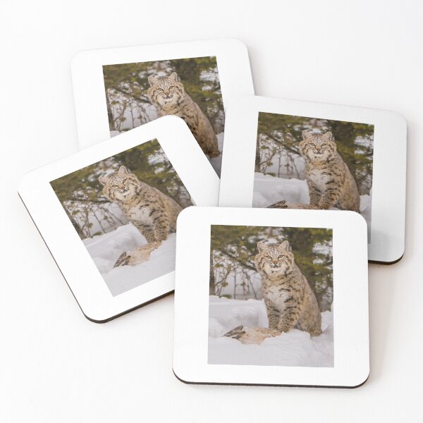 Item preview, Bobcat with Rabbit 4x5 designed and sold by Gerard Fornarotto.
