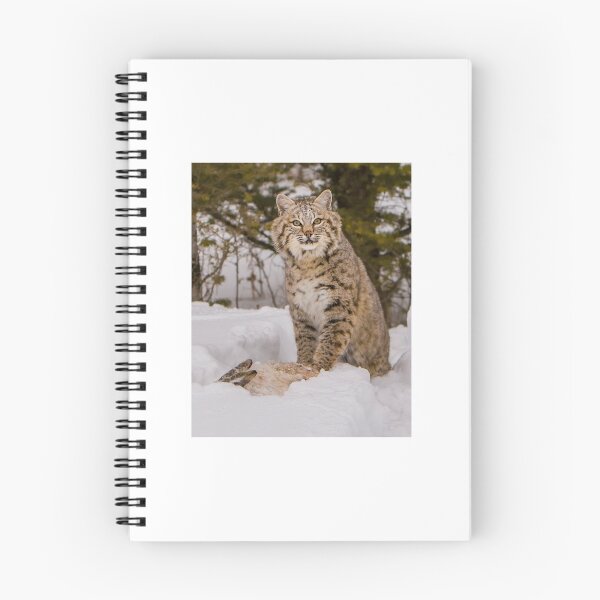 Item preview, Bobcat with Rabbit 4x5 designed and sold by Gerard Fornarotto.