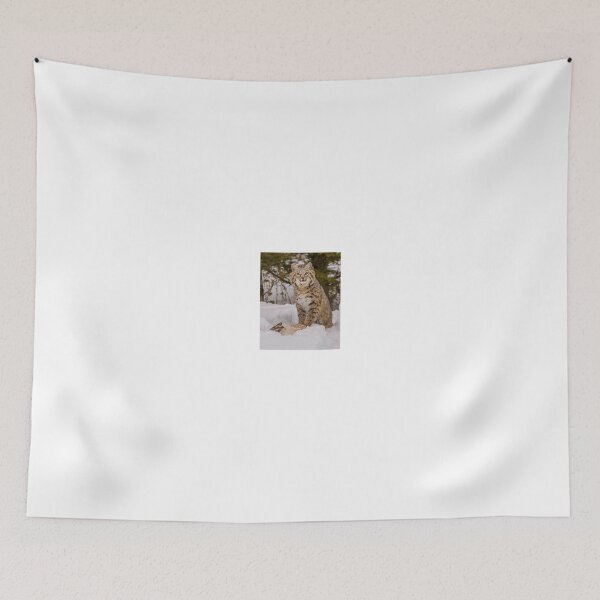 Item preview, Bobcat with Rabbit 4x5 designed and sold by Gerard Fornarotto.