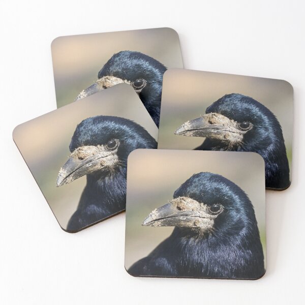 Item preview, Rook designed and sold by GreyFeatherPhot.