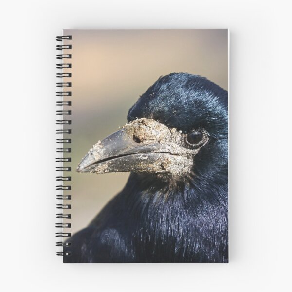 Item preview, Rook designed and sold by GreyFeatherPhot.