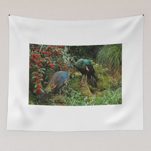 Item preview, Colourful Birds designed and sold by ellenmpics.