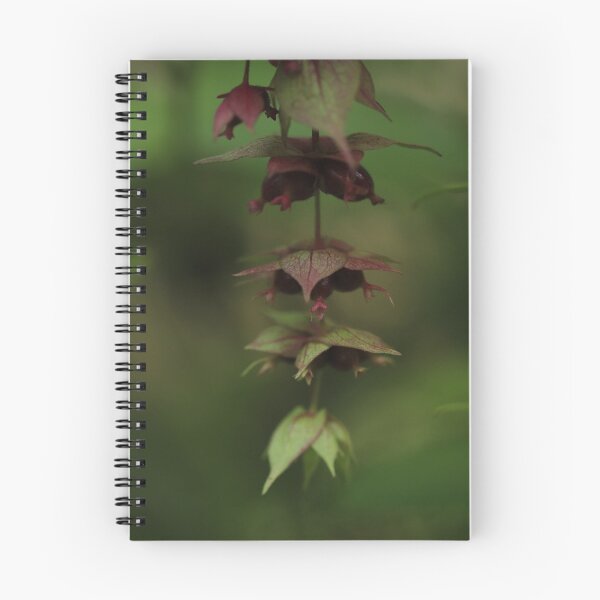 Item preview, Pheasant berry in low key designed and sold by cuprum.