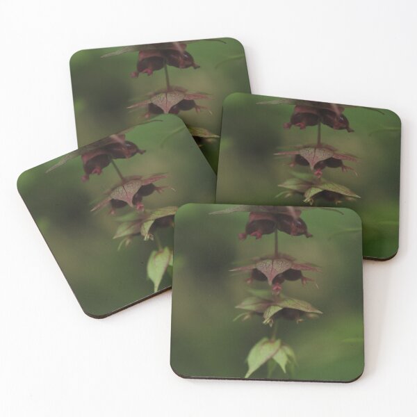 Item preview, Pheasant berry in low key designed and sold by cuprum.