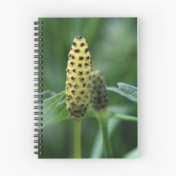 Item preview, Horsetail Flower designed and sold by cuprum.
