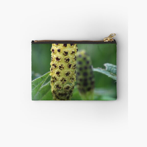 Item preview, Horsetail Flower designed and sold by cuprum.