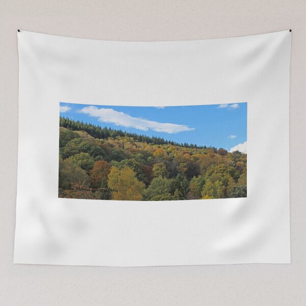 Item preview, Autumn Colours designed and sold by ellenmpics.