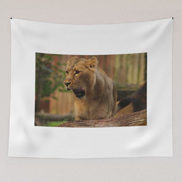 Item preview, Lioness designed and sold by ellenmpics.