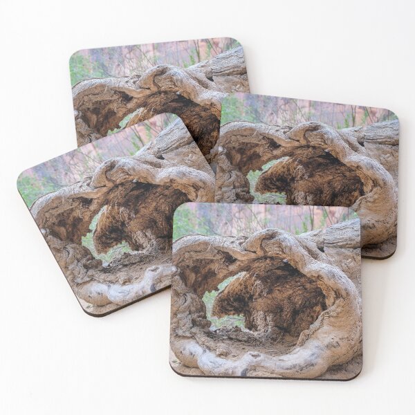Item preview, Incredible tree trunk at the Zion National Park, Utah designed and sold by VadimK.