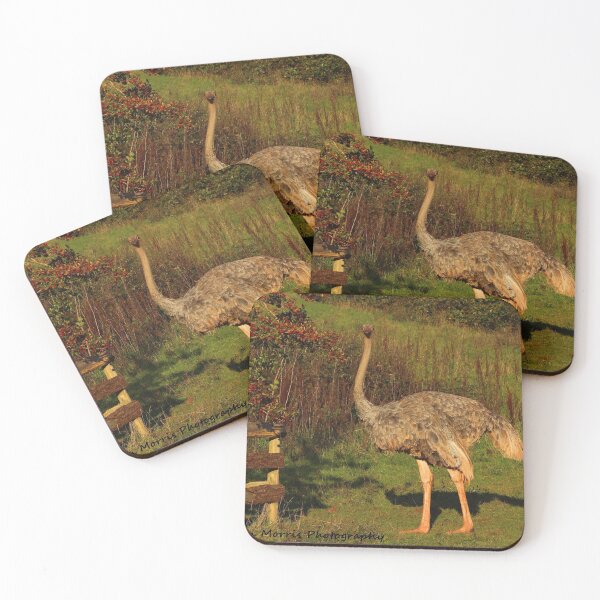 Item preview, Ostrich designed and sold by ellenmpics.