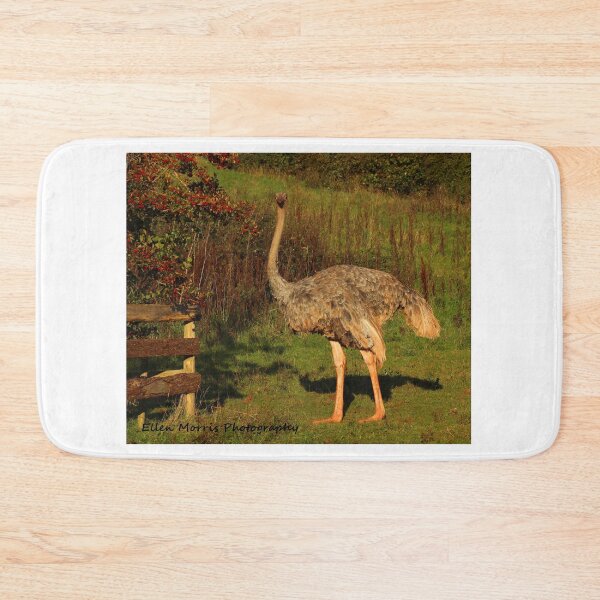 Item preview, Ostrich designed and sold by ellenmpics.