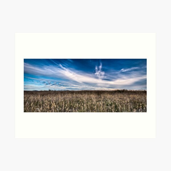 Surfin the Cornfield Art Print