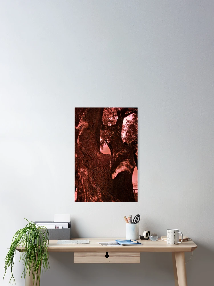 Thumbnail 2 of 3, Poster, Oak on I.R. designed and sold by Rafael López.
