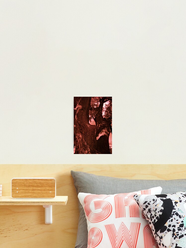 Thumbnail 2 of 3, Photographic Print, Oak on I.R. designed and sold by Raphanus.