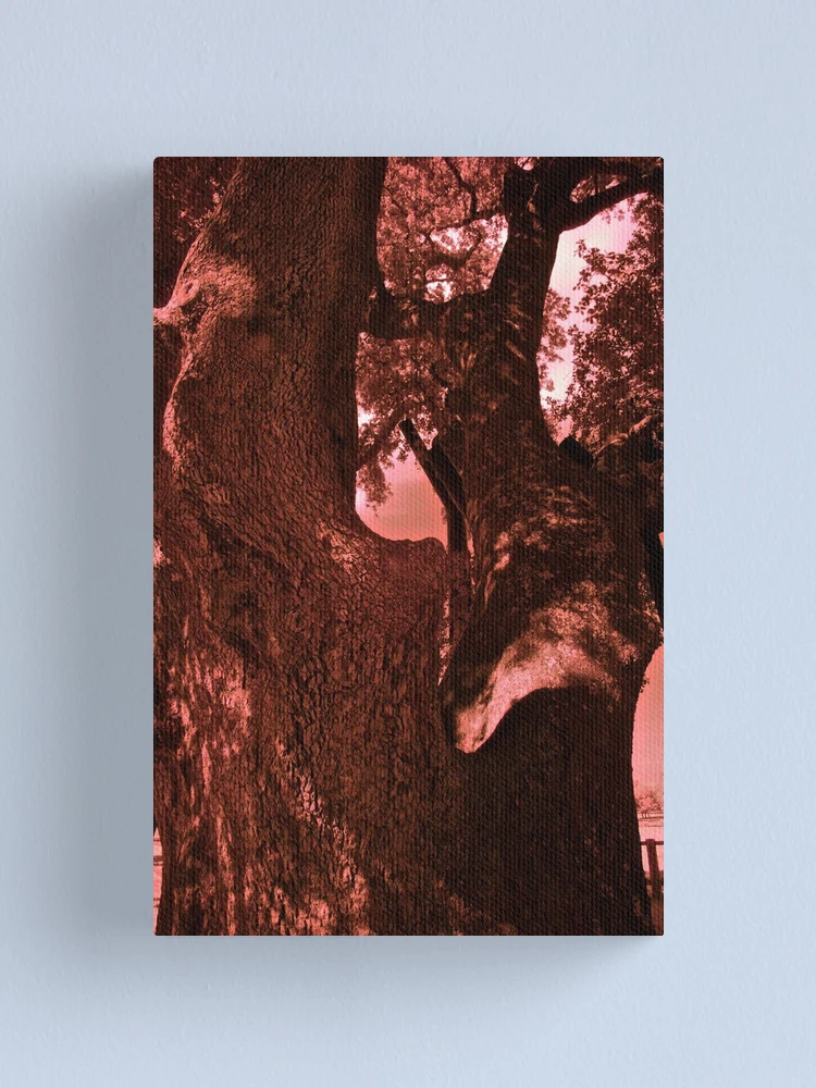 Thumbnail 1 of 3, Canvas Print, Oak on I.R. designed and sold by Rafael López.