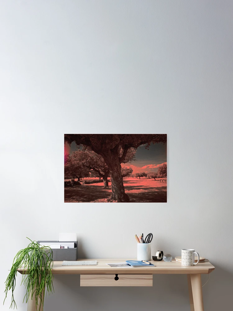 Aperçu 2 sur 3. Poster avec l'œuvre Countryside on I.R. créée et vendue par Rafael López.