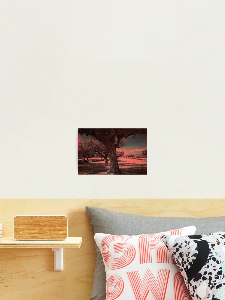 Thumbnail 2 of 3, Photographic Print, Countryside on I.R. designed and sold by Raphanus.
