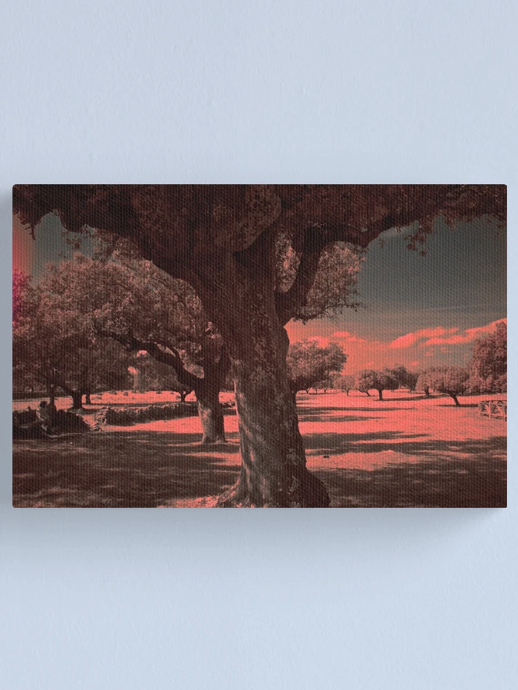 Thumbnail 1 of 3, Canvas Print, Countryside on I.R. designed and sold by Rafael López.