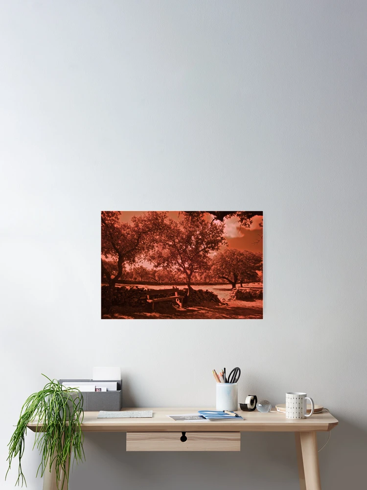 Aperçu 2 sur 3. Poster avec l'œuvre Countryside on I.R. créée et vendue par Rafael López.